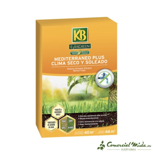 KB Evergreen Semillas Clima Seco y Soleado