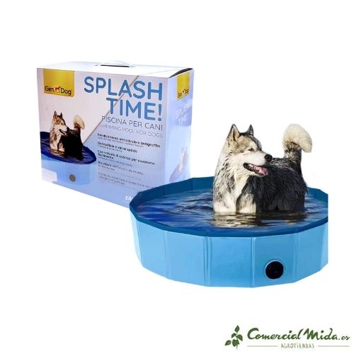 Piscina Perros Pequeños Splash Time S