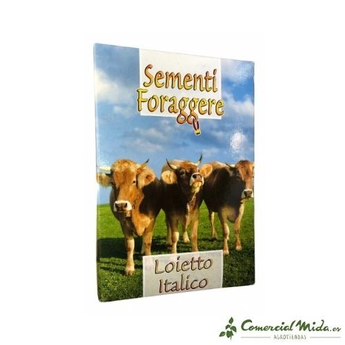 Semillas de Forraje Raygrass Italiano