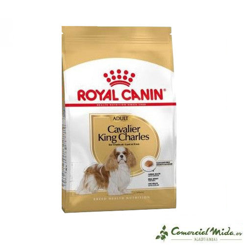 ROYAL CANIN CAVALIER KING CHARLES ADULT