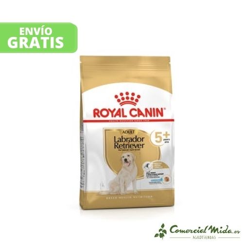 Alimento para perros Labrador Retriever de más de 5 años de Royal Canin