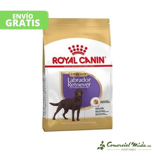 ROYAL CANIN LABRADOR RETRIEVER STERILISED