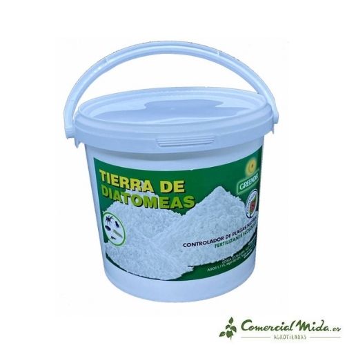 Cubo Tierra Diatomeas Greendel