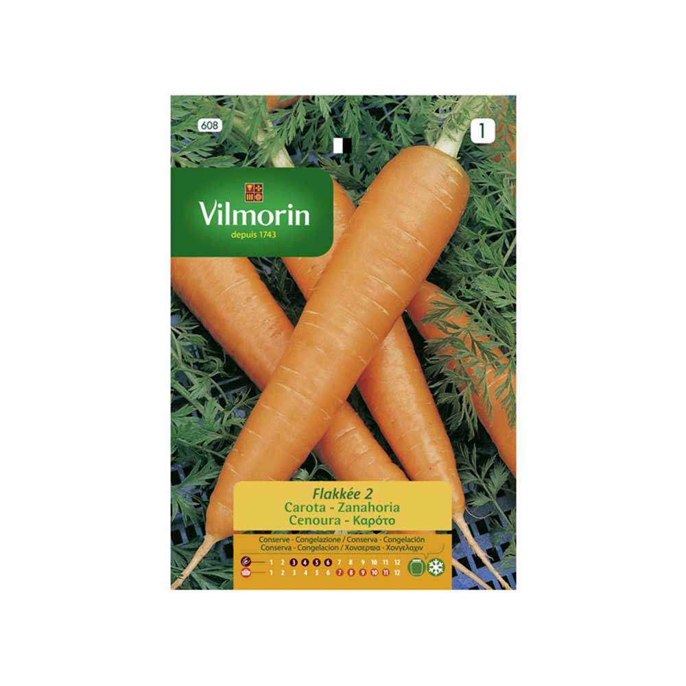 Semillas de zanahoria Flakkée 2 Vilmorin 8gr