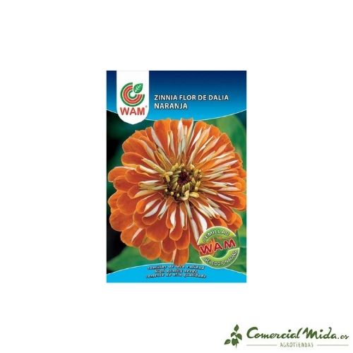 Semillas Zinnia Gigante Flor de Dalia naranja 0,9 gr de Wam
